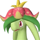 Dinossom